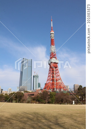 Tokyo Tower taken from Shiba Park Tokyo Tower taken from Shiba Park 101083873