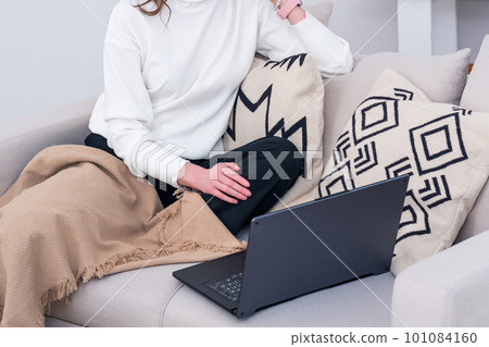 woman sitting on sofa indoor working with laptop 101084160