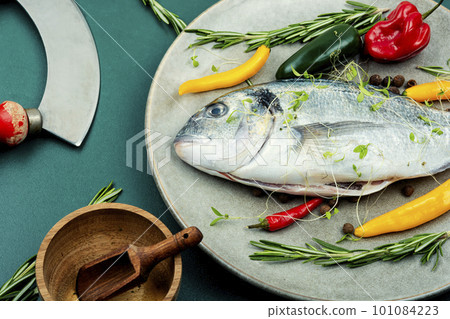 Raw sea bream dorado fish Raw sea bream dorado fish 101084223