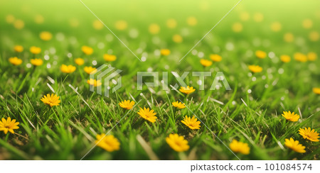 Spring landscape with grass and flowers 101084574