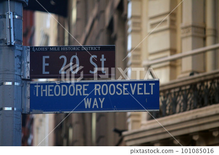 Brown East 20th Street and Theodore Roosevelt Way historic sign in Midtown Manhattan in New York City in Ladies Mile Historic District Brown East 20th Street and Theodore Roosevelt Way historic sign in Midtown Manhattan in New York City in Ladies Mile Historic District 101085016