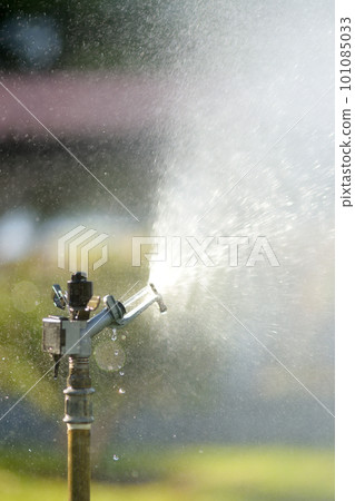 Vertical photo of garden sprinkler in sunny backyard. 101085033