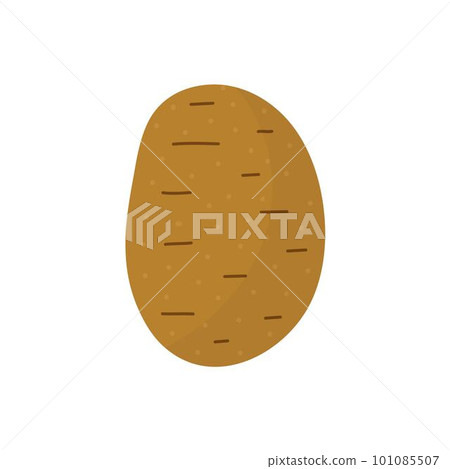 Fresh potato in cartoon style. Farm vegetable element isolated on white background Fresh potato in cartoon style. Farm vegetable element isolated on white background 101085507