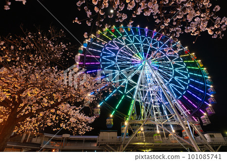 Lighted-up Ferris wheel Lighted-up Ferris wheel 101085741