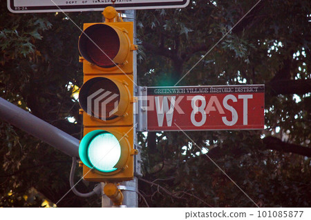 West 8th Street brown traffic sign in New York in Greenwich village historic district 101085877