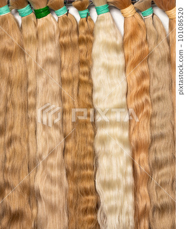 Wavy buns of straw-colored human hair for creating hairstyles. Vertical image. Closeup. 101086520