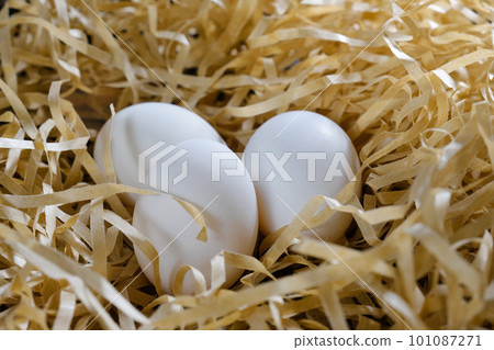 White chicken eggs in the hay. Organic products White chicken eggs in the hay. Organic products 101087271