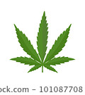 Mariuhana leaf symbol, marijuana or hemp icon, cannabis medical sign, weed drug vector illustration. 101087708