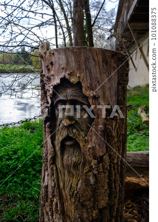 Tree trunk with face of old looking person carved into the wood in Cambridge, England 101088375