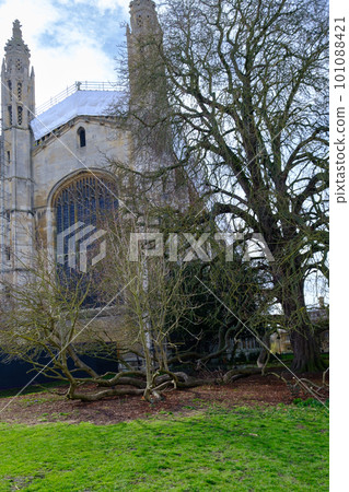 Beautiful University building and yard in Cambridge, UK 101088421