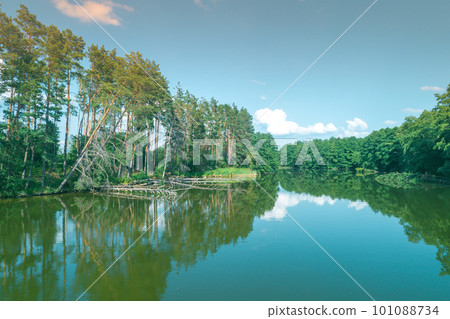 View from above of the lake in the forest 101088734