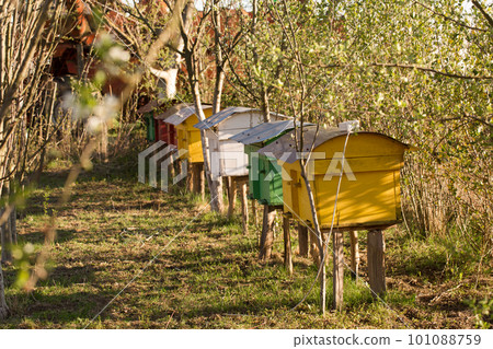 colorful beehives in a spring garden on a sunny day colorful beehives in a spring garden on a sunny day 101088759