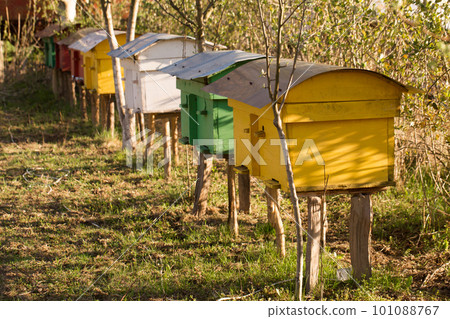 Small colorful beehives in a garden on a sunny day 101088767