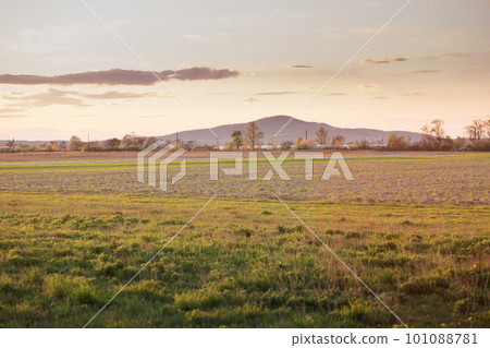 A field with grass on the background of a mountain in the rays of the evening light A field with grass on the background of a mountain in the rays of the evening light 101088781