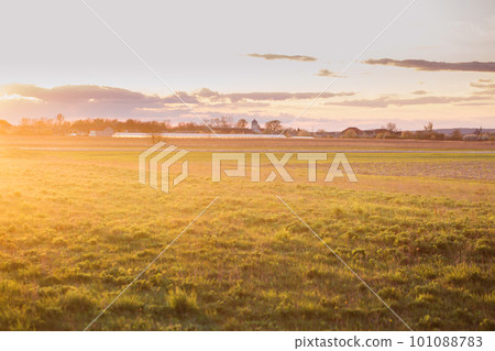 The field is flooded with the light 101088783