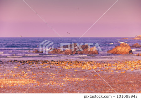 Rocky seashore before sunrise 101088942