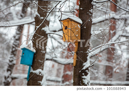 Birdhouses on the trees in snowy winter 101088943