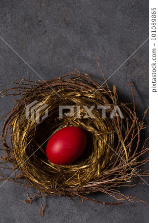 egg in a small nest on a gray background egg in a small nest on a gray background 101089865