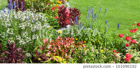 Bright flowerbed and lawn. Wide photo. Bright flowerbed and lawn. Wide photo. 101090192