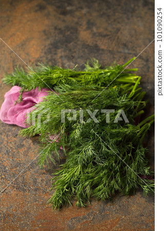 A bunch of fresh dill on purple cheesecloth, close up A bunch of fresh dill on purple cheesecloth, close up 101090254