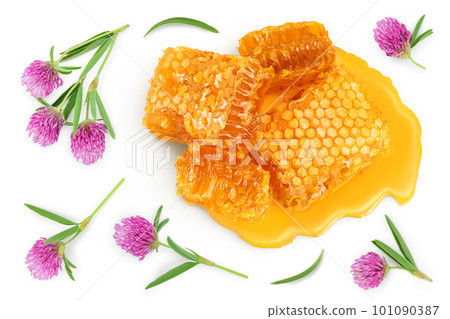 Honeycombs and honey puddle with clover flower isolated on white background. Top view. Flat lay 101090387