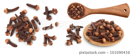 Dry spice cloves isolated on white background. Top view with copy space for your text. Flat lay Dry spice cloves isolated on white background. Top view with copy space for your text. Flat lay 101090438