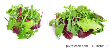 Mix of different salads isolated on white background. Top view. Flat lay Mix of different salads isolated on white background. Top view. Flat lay 101090505