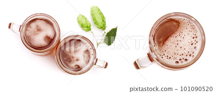 glass of beer with hop cones isolated on white background. Top view glass of beer with hop cones isolated on white background. Top view 101090520