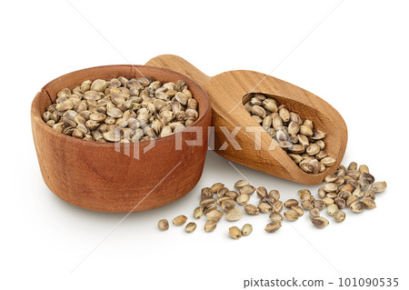 Hemp seeds in wooden bowl isolated on white background with full depth of field Hemp seeds in wooden bowl isolated on white background with full depth of field 101090535