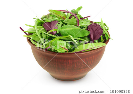 Mix salad - arugula, spinach and chard in the bowl isolated on white background Mix salad - arugula, spinach and chard in the bowl isolated on white background 101090538