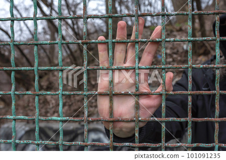 Male hand behind bars close up. Captivity, freedom, prison. A desperate prisoner in prison. Male hand behind bars close up. Captivity, freedom, prison. A desperate prisoner in prison. 101091235