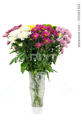 Beautiful bouquet of bright chrysanthemum flowers in a vase isolated on white Beautiful bouquet of bright chrysanthemum flowers in a vase isolated on white 101091302
