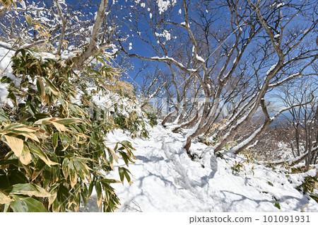 余雪時節的那須岳登山道風景 余雪時節的那須岳登山道風景 101091931