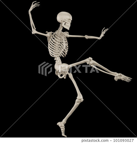 人體骨骼構成 101093027