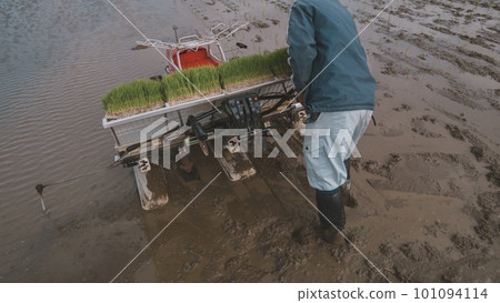 rice planting, rice transplanter, gents 101094114