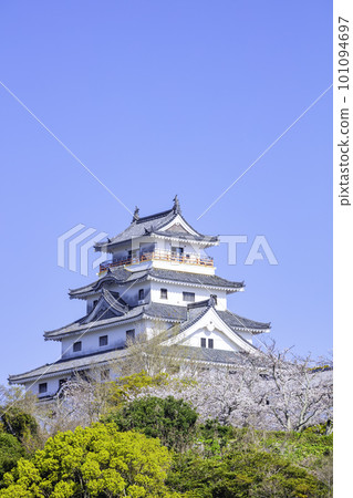 櫻花盛開的唐津城（佐賀縣唐津市） 101094697