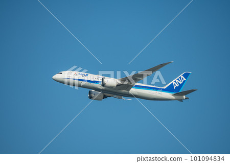 【全日空飛機在京濱島翼公園起飛】 101094834