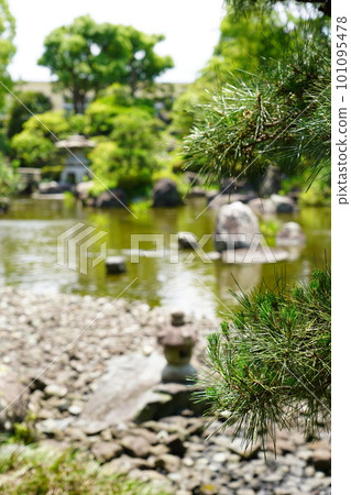 松樹和池塘 101095478