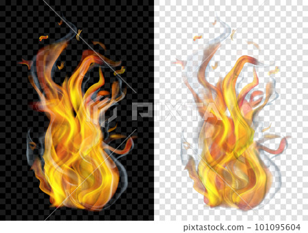 Burning campfire with smoke 101095604