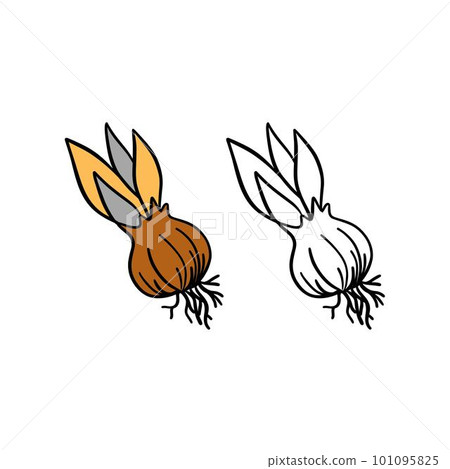 Vector illustration for your design. Colored and black line outline. Garden set. Bulb Vector illustration for your design. Colored and black line outline. Garden set. Bulb 101095825