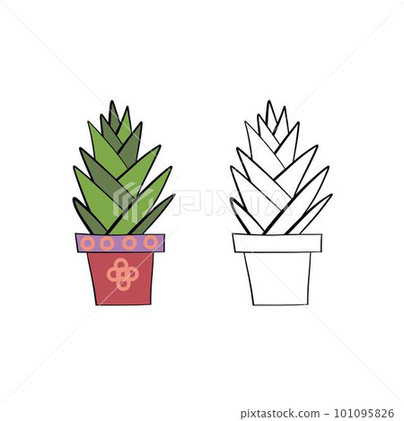 Vector illustration for your design. Colored and black line outline. Garden set. Flower in a pot. Vector illustration for your design. Colored and black line outline. Garden set. Flower in a pot. 101095826