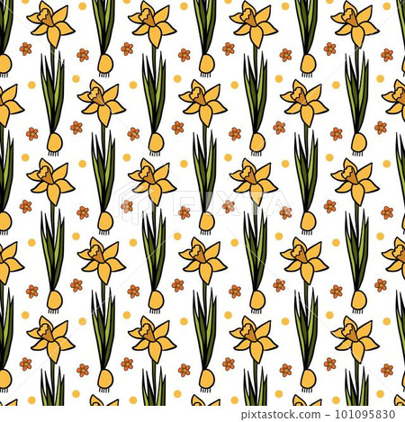 Vector illustration for your design. Pattern. Garden set. Flower Narcissus. Vector illustration for your design. Pattern. Garden set. Flower Narcissus. 101095830