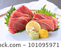 Assorted sashimi 101095971