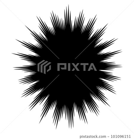 Sea urchin flash frame (single item) 101096151