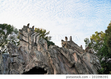 ueno zoo ueno tokyo japan 2019 october animal zoo zoo outdoor exhibit creature gorilla wa ueno zoo ueno tokyo japan 2019 october animal zoo zoo outdoor exhibit creature gorilla wa 101096391