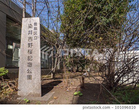 Somei Yoshino Sakura Commemorative Park [Birthplace of Somei Yoshino Cherry Blossoms] 101096810