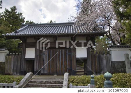 櫻花盛開的美麗 Oshi 城門,埼玉縣行田市 櫻花盛開的美麗 Oshi 城門,埼玉縣行田市 101097003