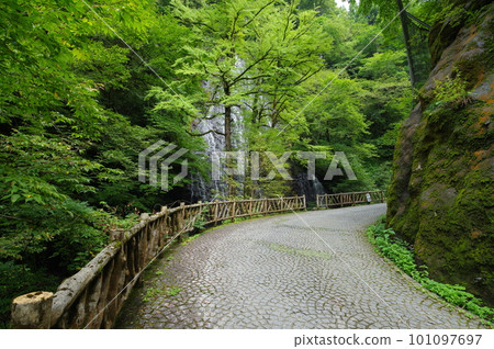 Ryusougataki Falls, Ikeda Town, Imadate District, Fukui Prefecture Ryusougataki Falls, Ikeda Town, Imadate District, Fukui Prefecture 101097697