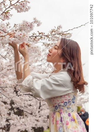 櫻花和年輕女子的生活方式 101097742
