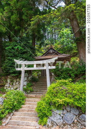 A shrine that stands quietly in the countryside (Tantocho, Toyooka City, Hyogo Prefecture: Wakamiya Shrine) 101097785